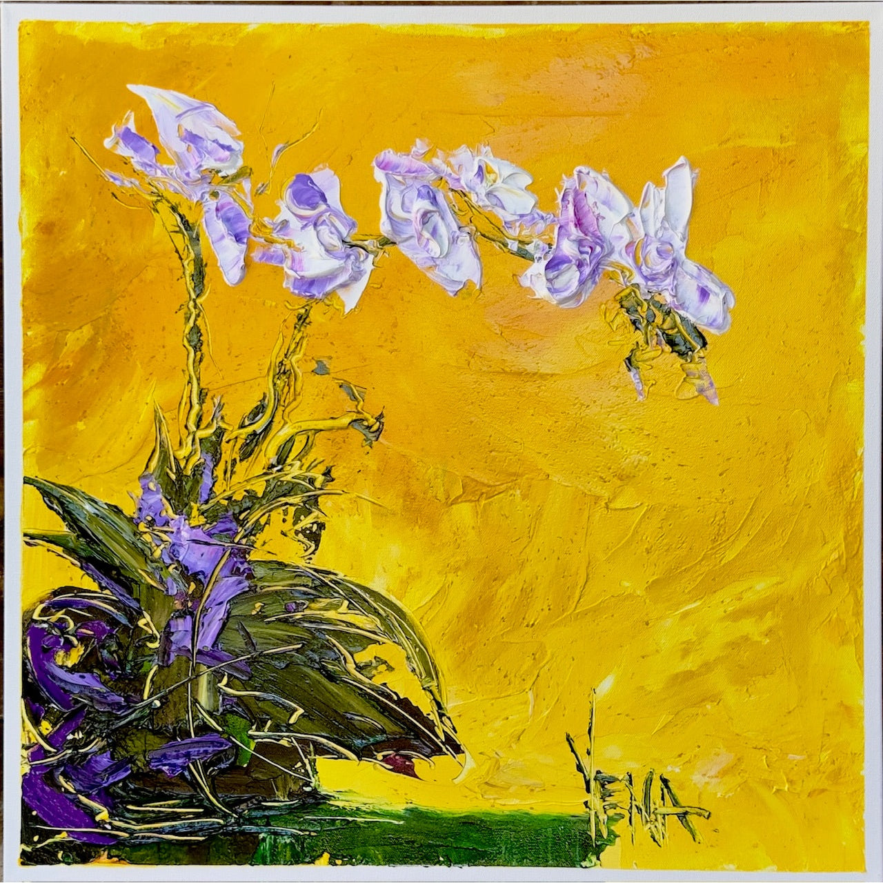 White Orchids