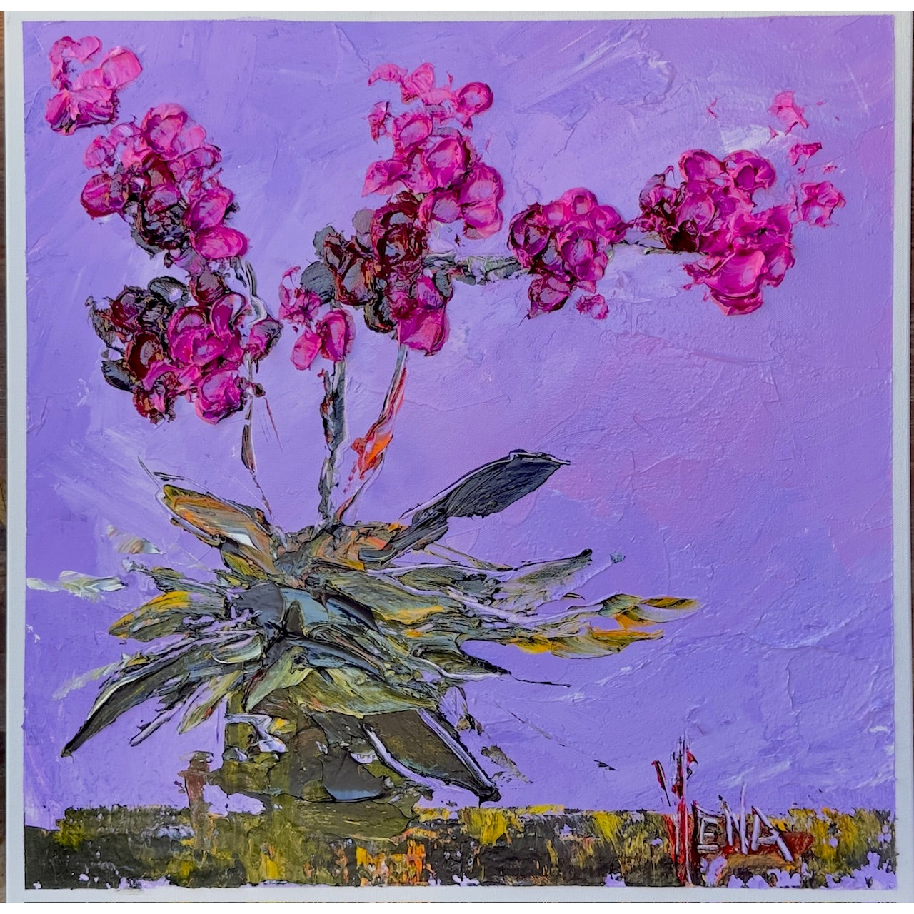 Purple Orchid