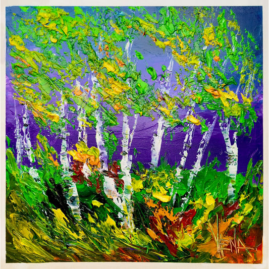 Birch Grove in Autumn