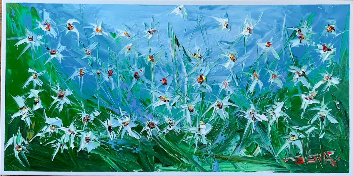 Chamomile Field.